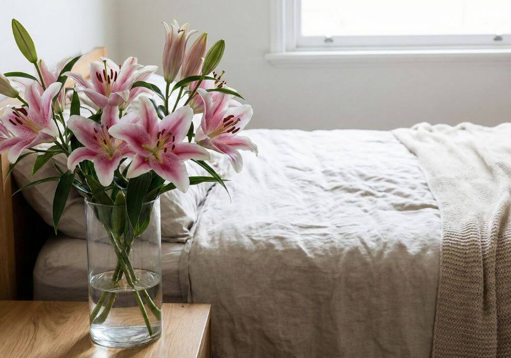 Lilie jako kwiaty niezalecane do sypialni Szkodliwe kwiaty doniczkowe w sypialni - Lilie (Lilium spp.)