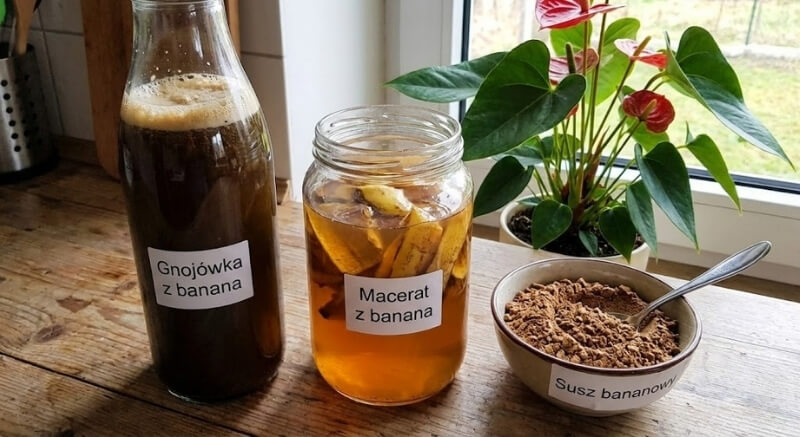 przetwory ze skórki banana dla anturium
