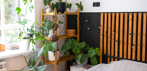 Szkodliwe kwiaty doniczkowe w&nbsp;sypialni. Lista 15 odmian, których&nbsp;lepiej unikać