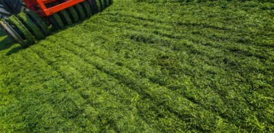 Wertykulacja trawnika – kiedy i&nbsp;jak ją&nbsp;przeprowadzić?